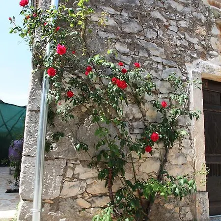 Villa Casa Vecia Brtonigla