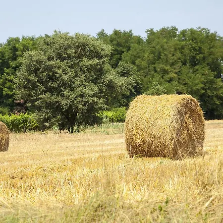Casa Vecia Brtonigla