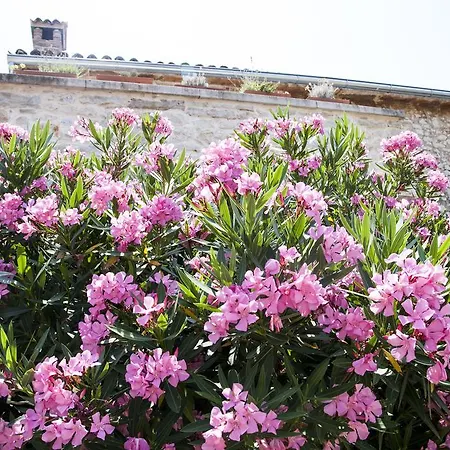 Casa Vecia
