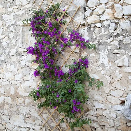Casa Vecia Brtonigla