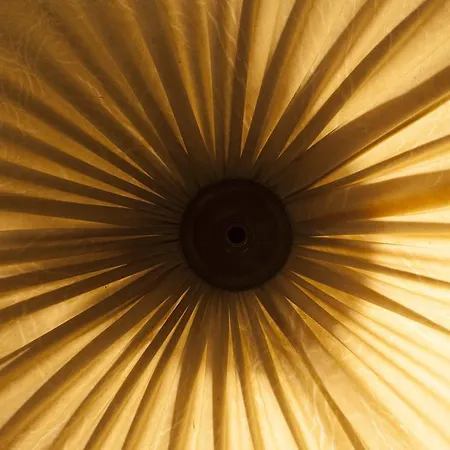 Casa Vecia Brtonigla