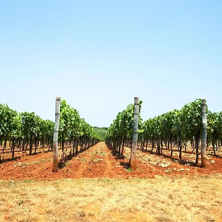 Villa Casa Vecia Brtonigla