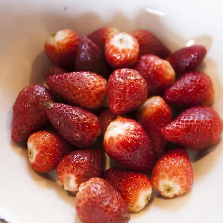 Casa Vecia * Brtonigla